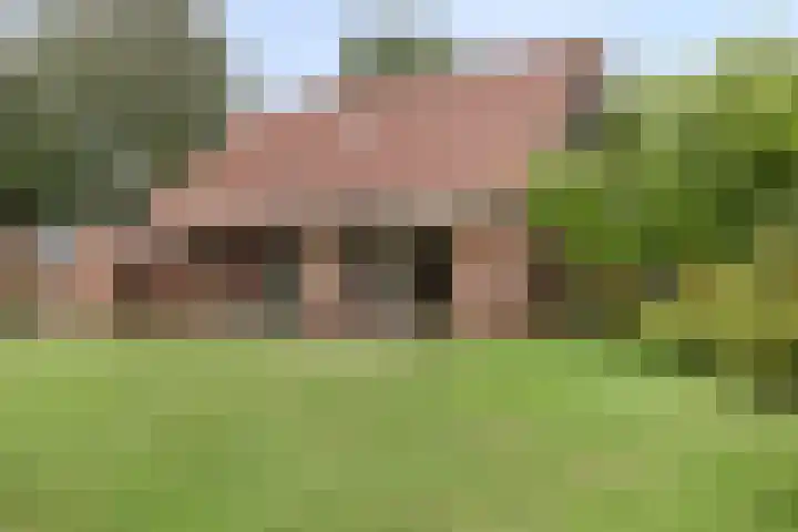 Koffiestraat 6 Eefde thumbnail 36