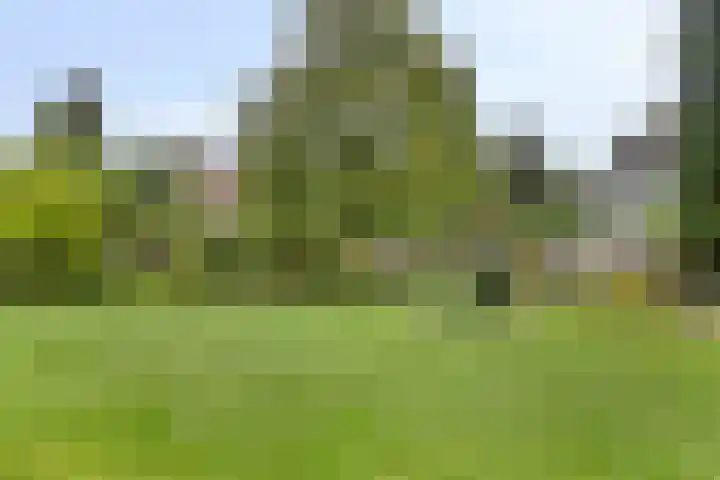 Koffiestraat 6 Eefde thumbnail 37