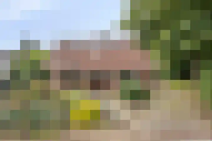 Koffiestraat 6 Eefde thumbnail 42