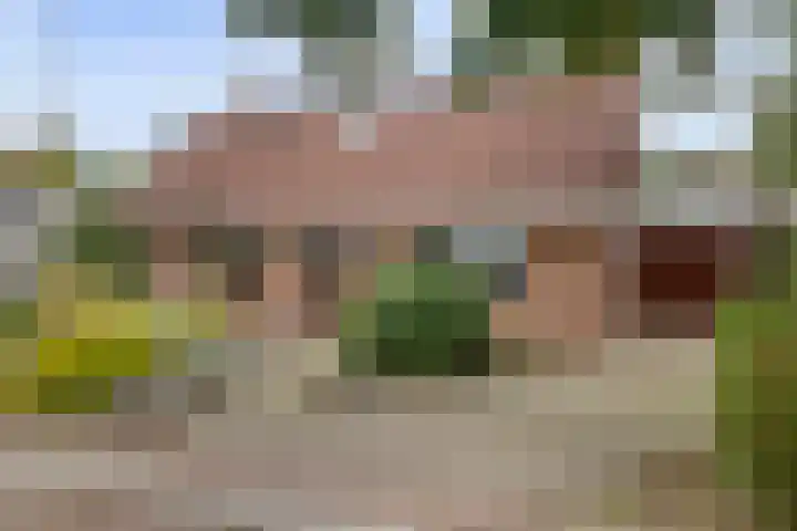 Koffiestraat 6 Eefde thumbnail 43