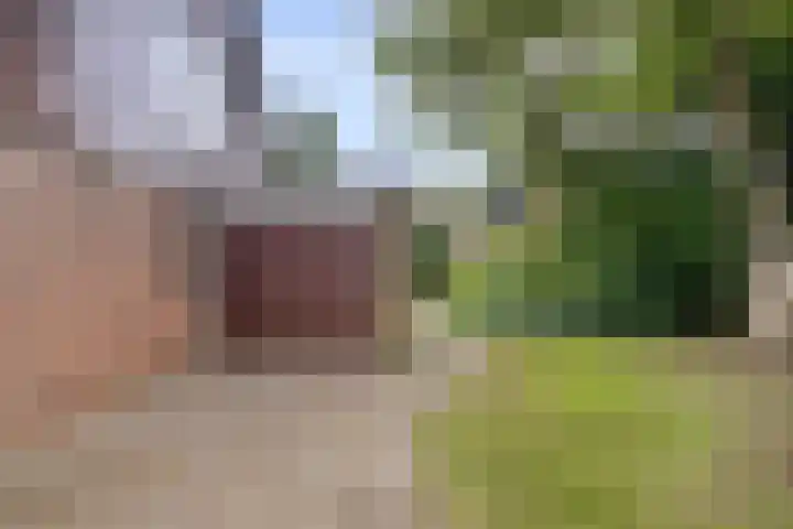 Koffiestraat 6 Eefde thumbnail 44