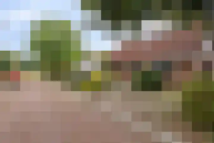 Koffiestraat 6 Eefde thumbnail 45