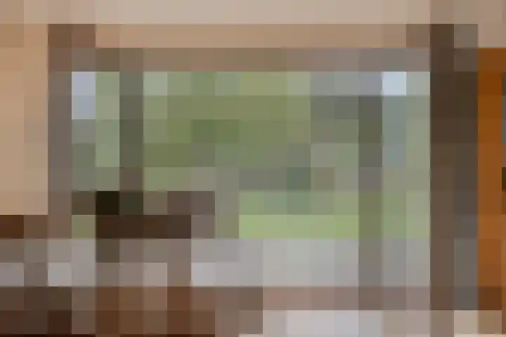 Koffiestraat 6 Eefde thumbnail 7