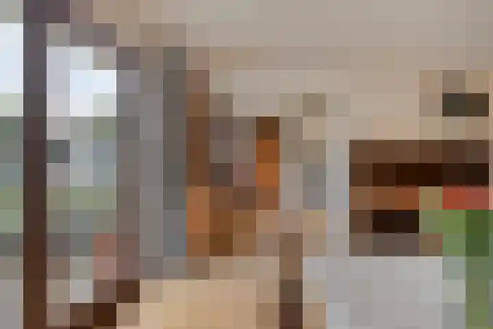 Koffiestraat 6 Eefde thumbnail 8