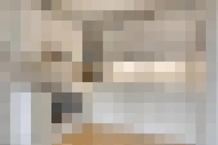 Koffiestraat 6 Eefde thumbnail 9