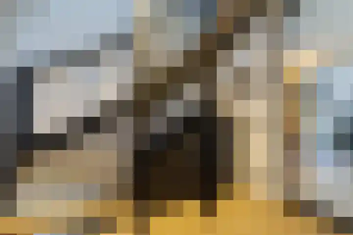 Kofschip 1 Zuidhorn thumbnail 7