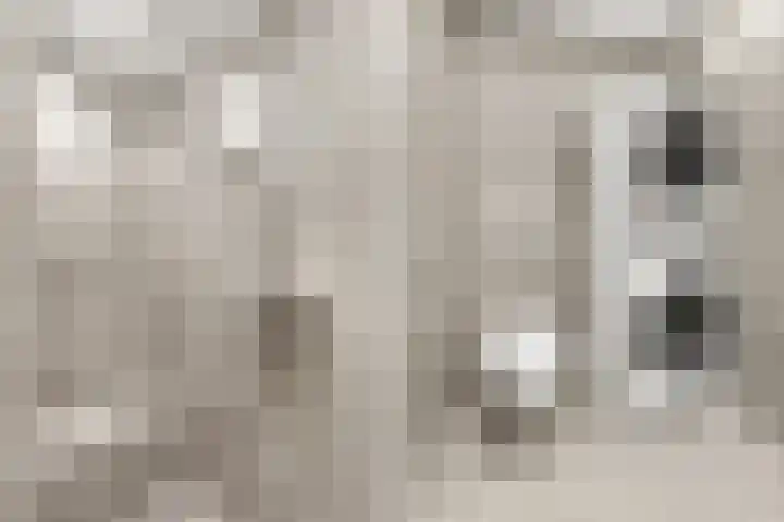 Kofschip 13 Nijkerk thumbnail 21