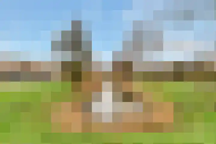 Kofschip 13 Nijkerk thumbnail 27