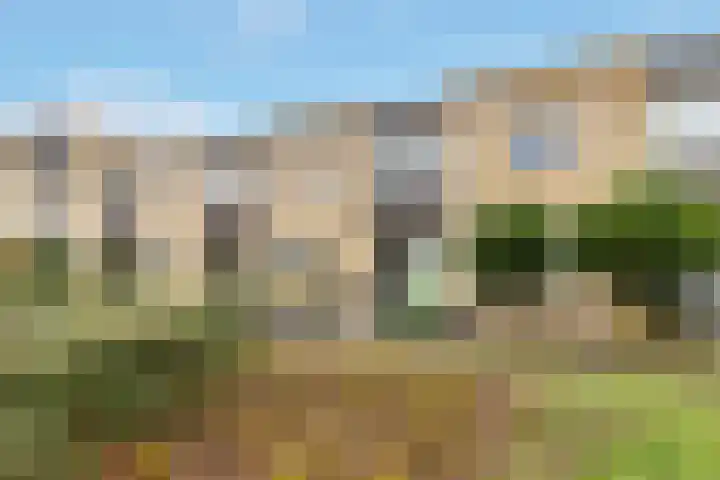 Kofschip 13 Nijkerk thumbnail 5