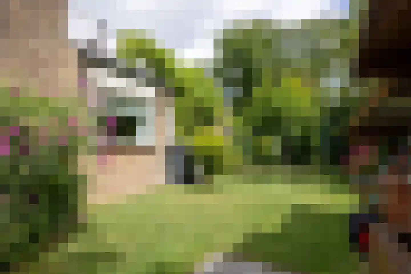 Kofschip 2 Barendrecht thumbnail 52
