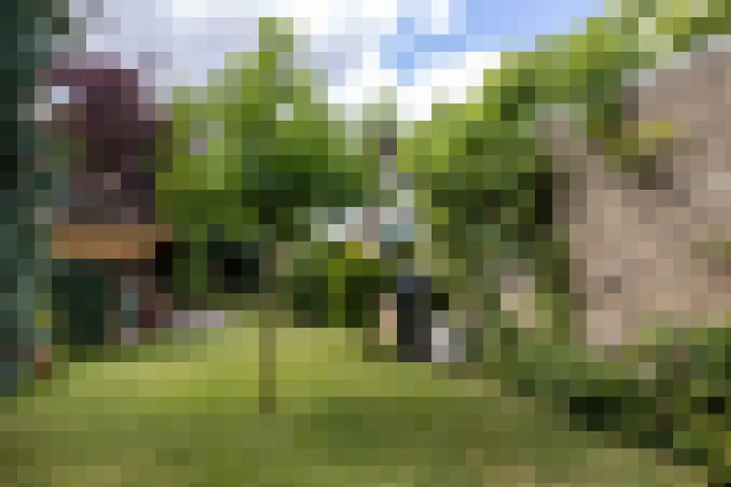 Kofschip 2 Barendrecht thumbnail 65