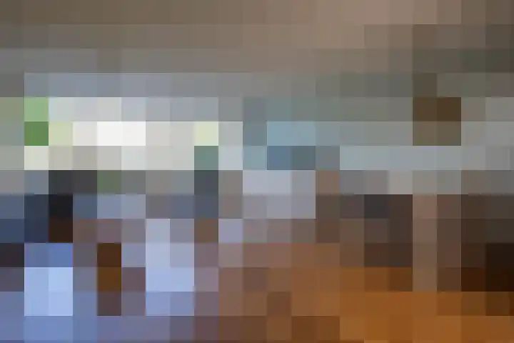Kofschip 20 Uithoorn thumbnail 10