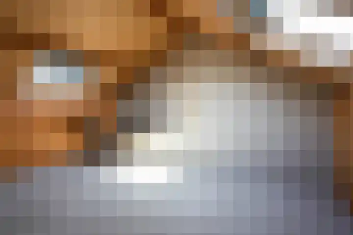Kofschip 20 Uithoorn thumbnail 28