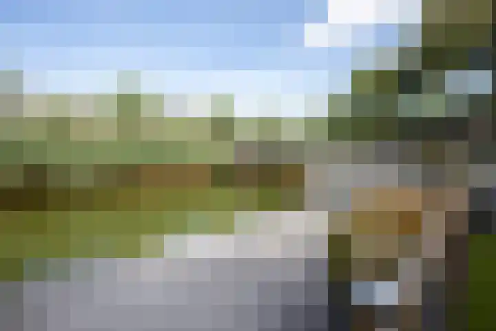 Kofschip 20 Uithoorn thumbnail 33