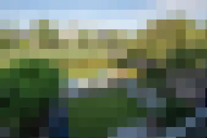 Kofschip 20 Uithoorn thumbnail 36