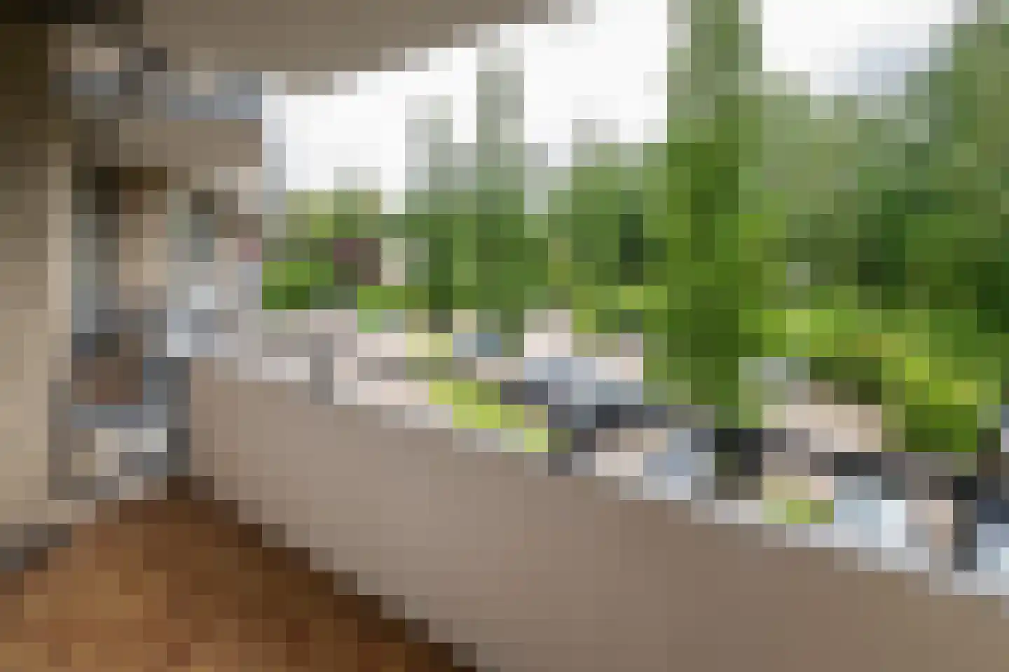 Kofschip 27 Barendrecht thumbnail 27