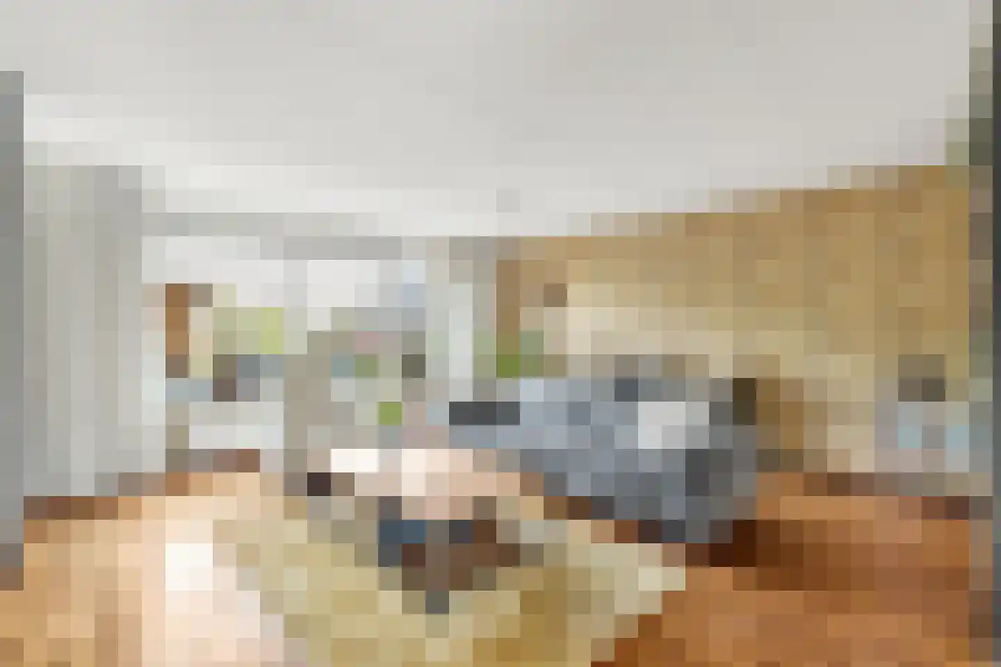 Kofschip 7 Nijkerk thumbnail 12