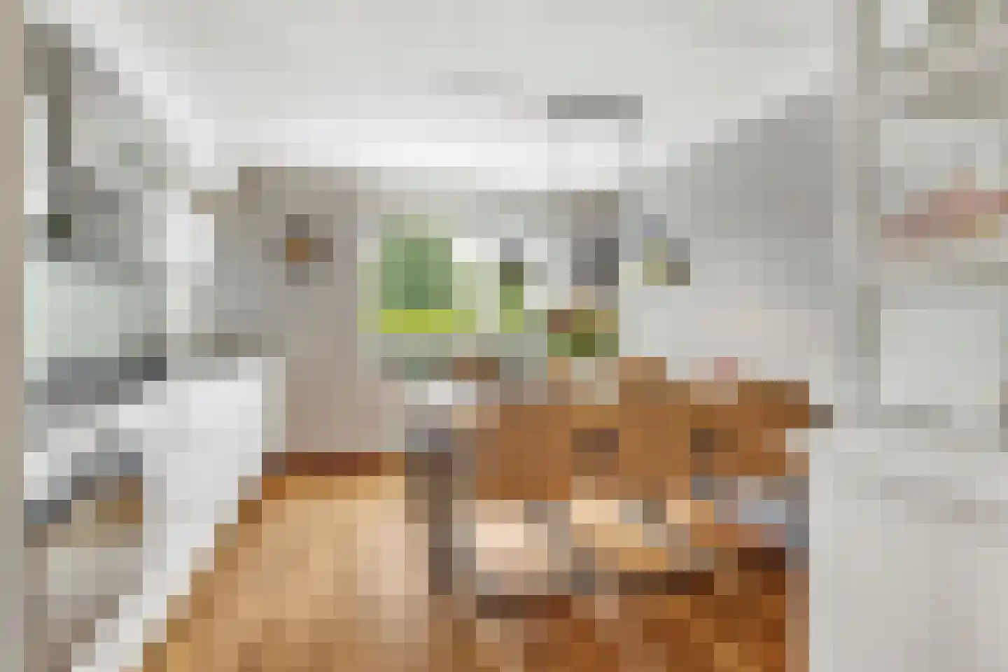 Kofschip 7 Nijkerk thumbnail 16