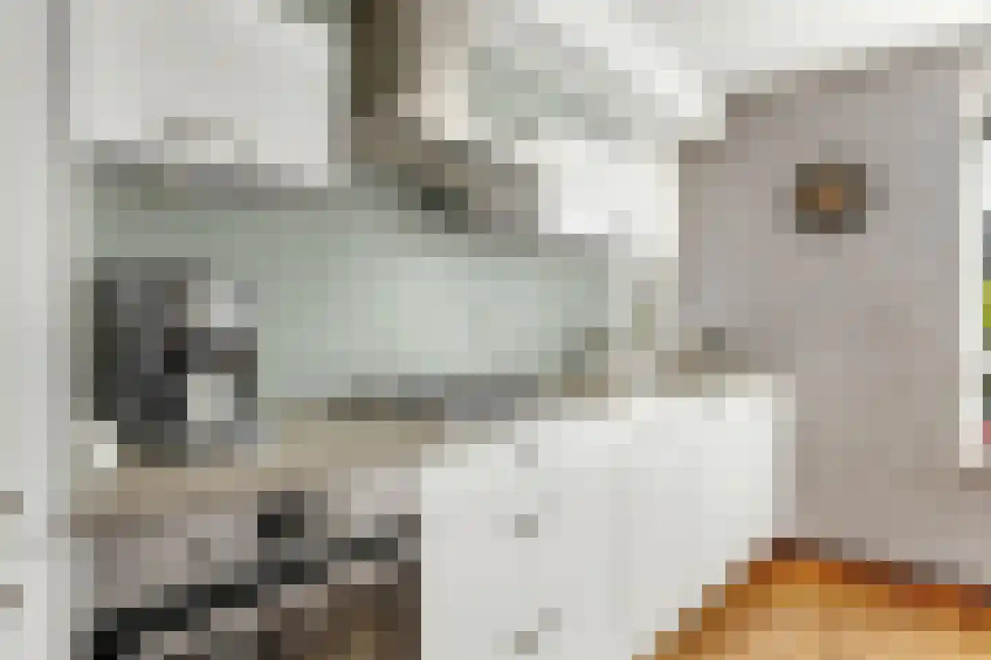 Kofschip 7 Nijkerk thumbnail 17