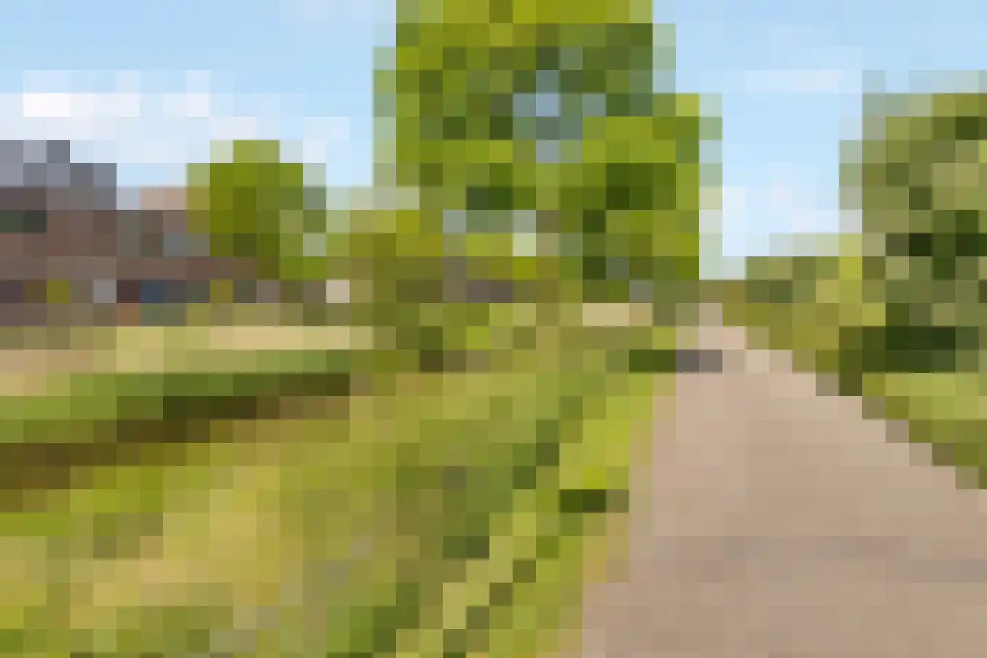 Kofschip 7 Nijkerk thumbnail 30