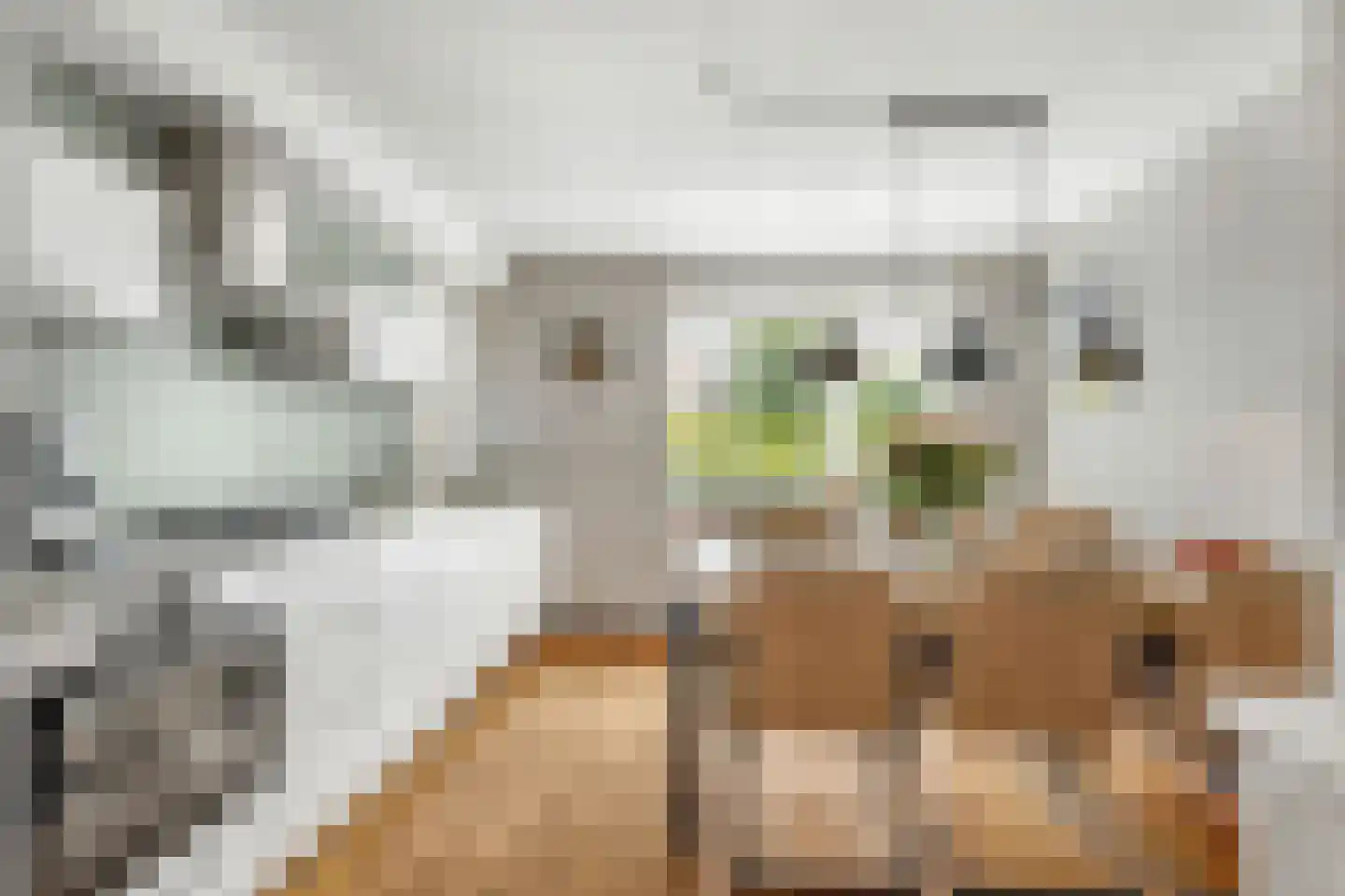 Kofschip 7 Nijkerk thumbnail 4