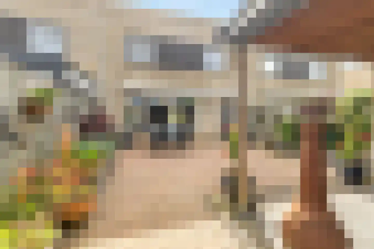 Kofschip 7 Nijkerk thumbnail 6
