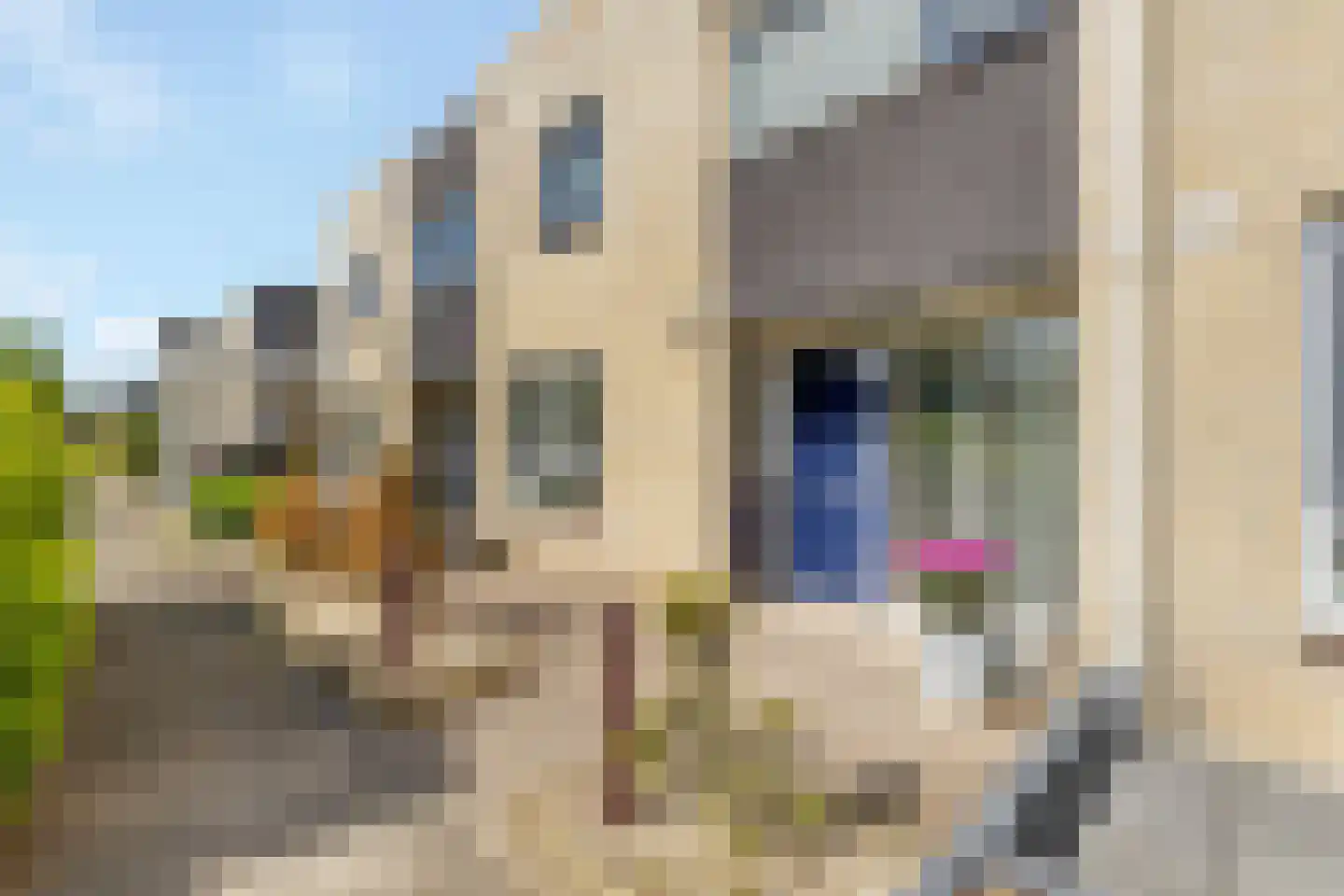Kofschip 7 Nijkerk thumbnail 7