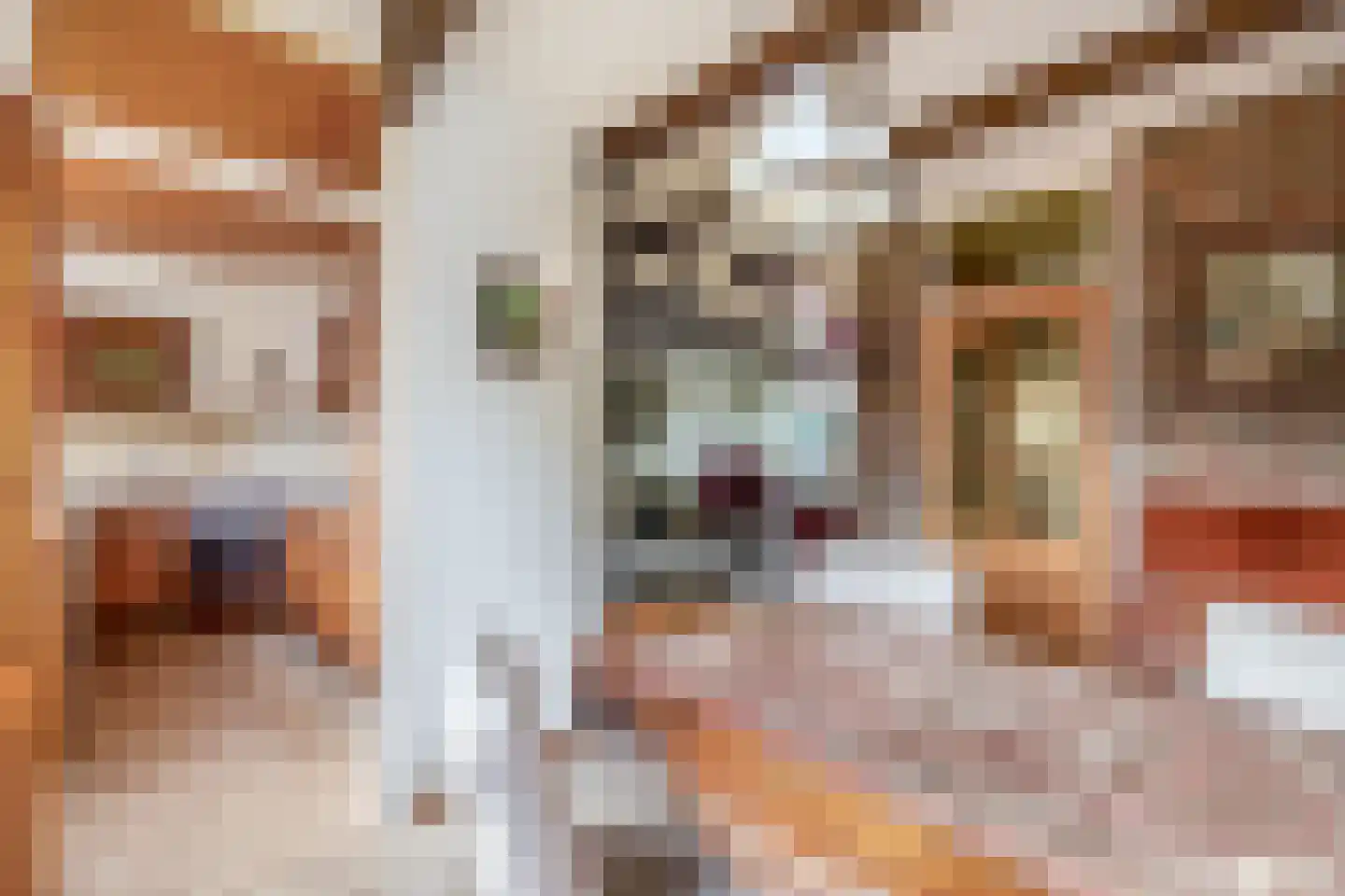 Kofstraat 22 Zaandam thumbnail 18
