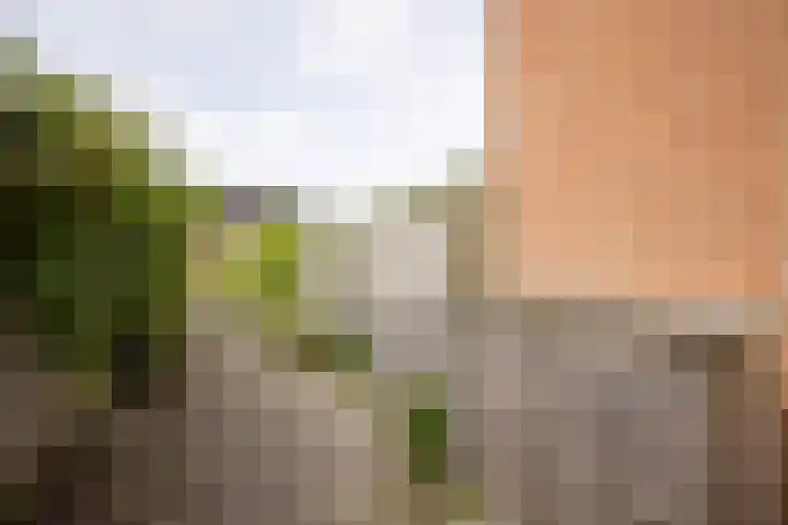 Kofstraat 33 Makkum thumbnail 16
