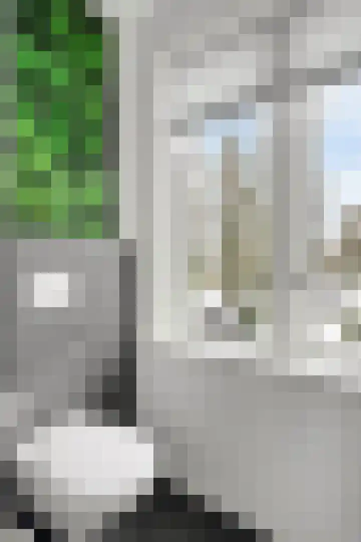 Kogelbloemstraat 30 's-Hertogenbosch thumbnail 27