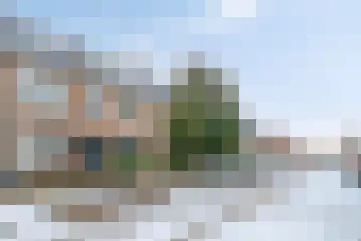 Kogelbloemstraat 30 's-Hertogenbosch thumbnail 42