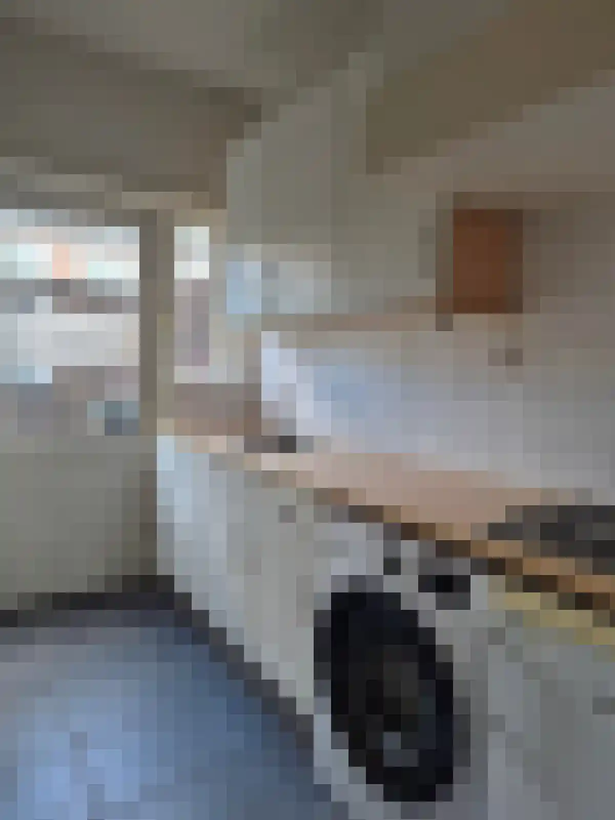 Kogelbloemstraat 38 's-Hertogenbosch thumbnail 5