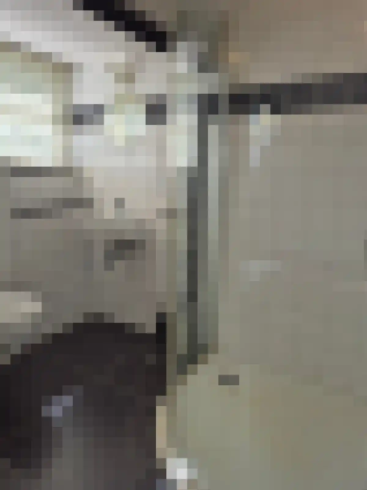 Kogelbloemstraat 44 's-Hertogenbosch thumbnail 6