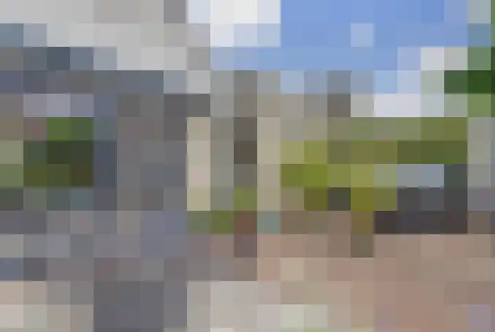 Kogeldistel 20 Venray thumbnail 16