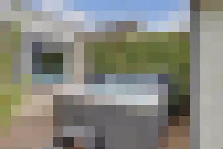 Kogeldistel 20 Venray thumbnail 17