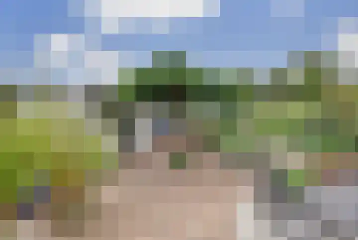 Kogeldistel 20 Venray thumbnail 18