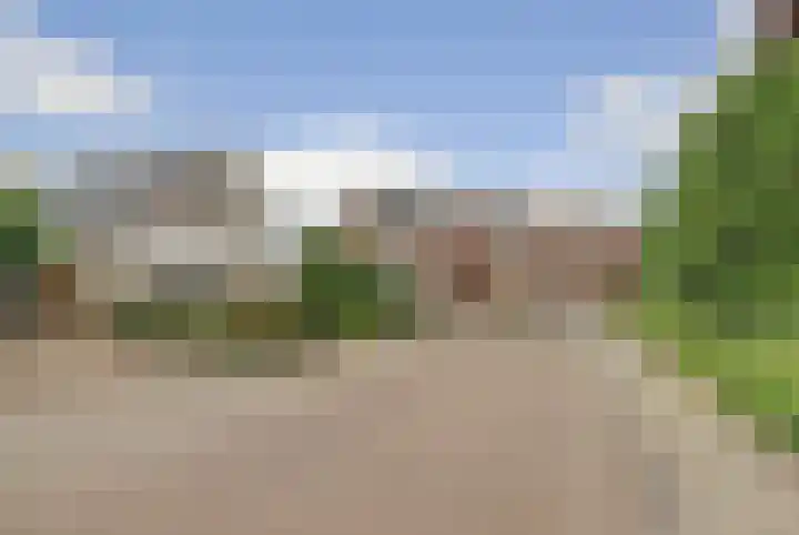 Kogeldistel 20 Venray thumbnail 20