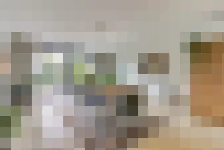 Kogeldistel 20 Venray thumbnail 5