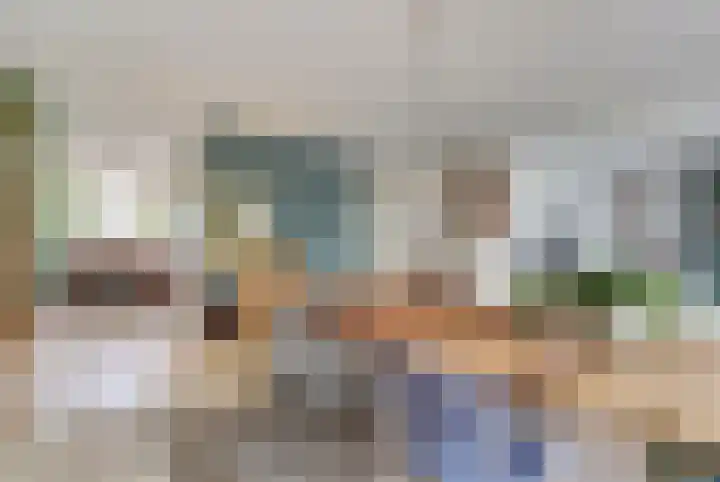 Kogeldistel 20 Venray thumbnail 6