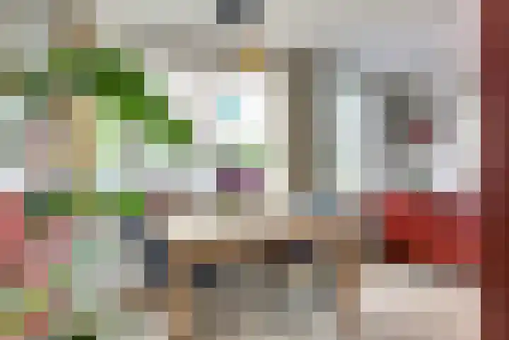Kogeldistel 20 Venray thumbnail 7