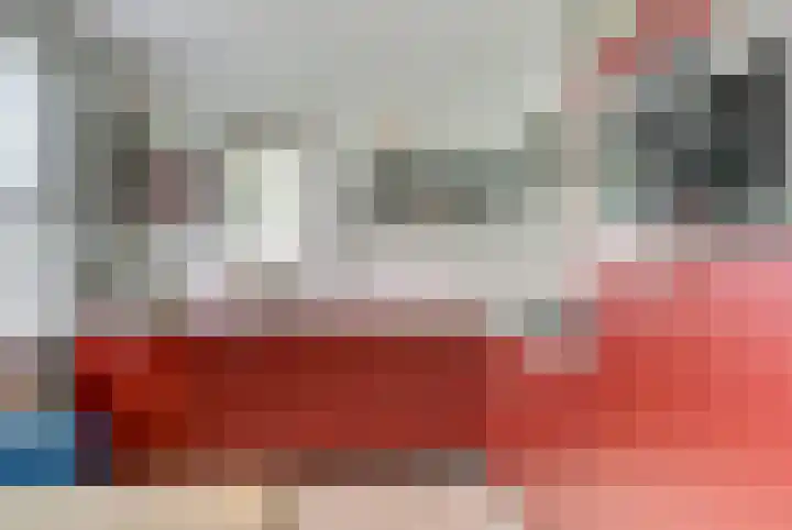 Kogeldistel 20 Venray thumbnail 8