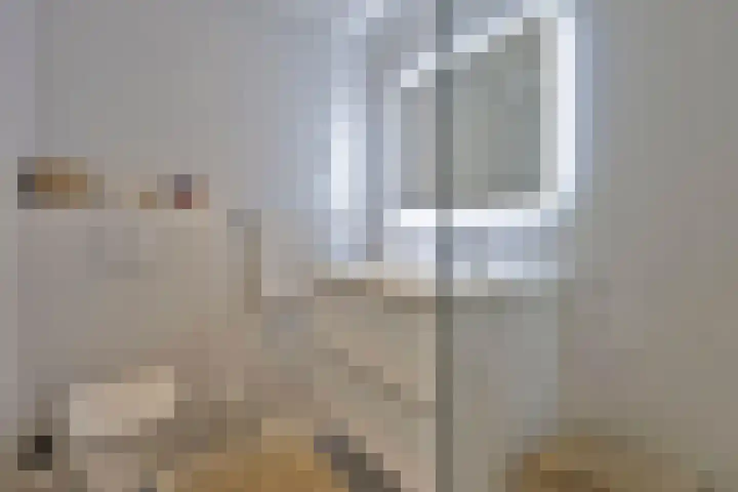Kogeldistel 41 Rotterdam thumbnail 16