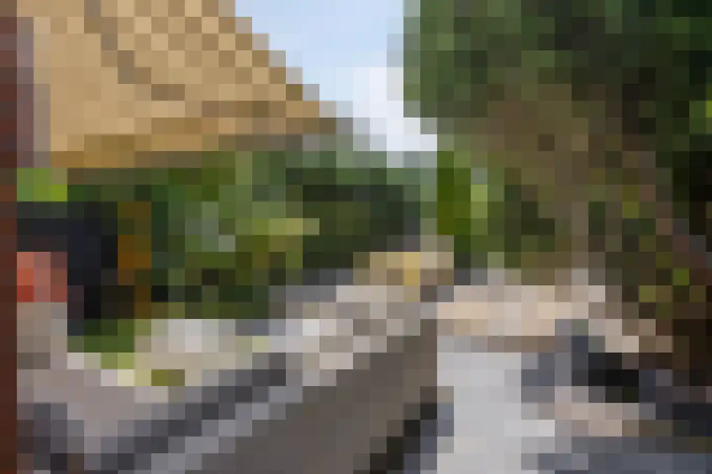 Kogeldistel 41 Rotterdam thumbnail 21