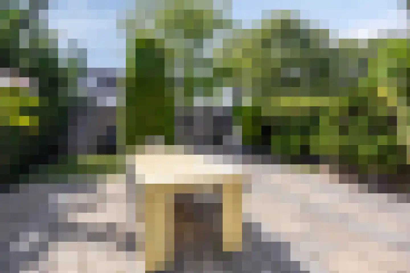 Kogeldistel 41 Rotterdam thumbnail 22