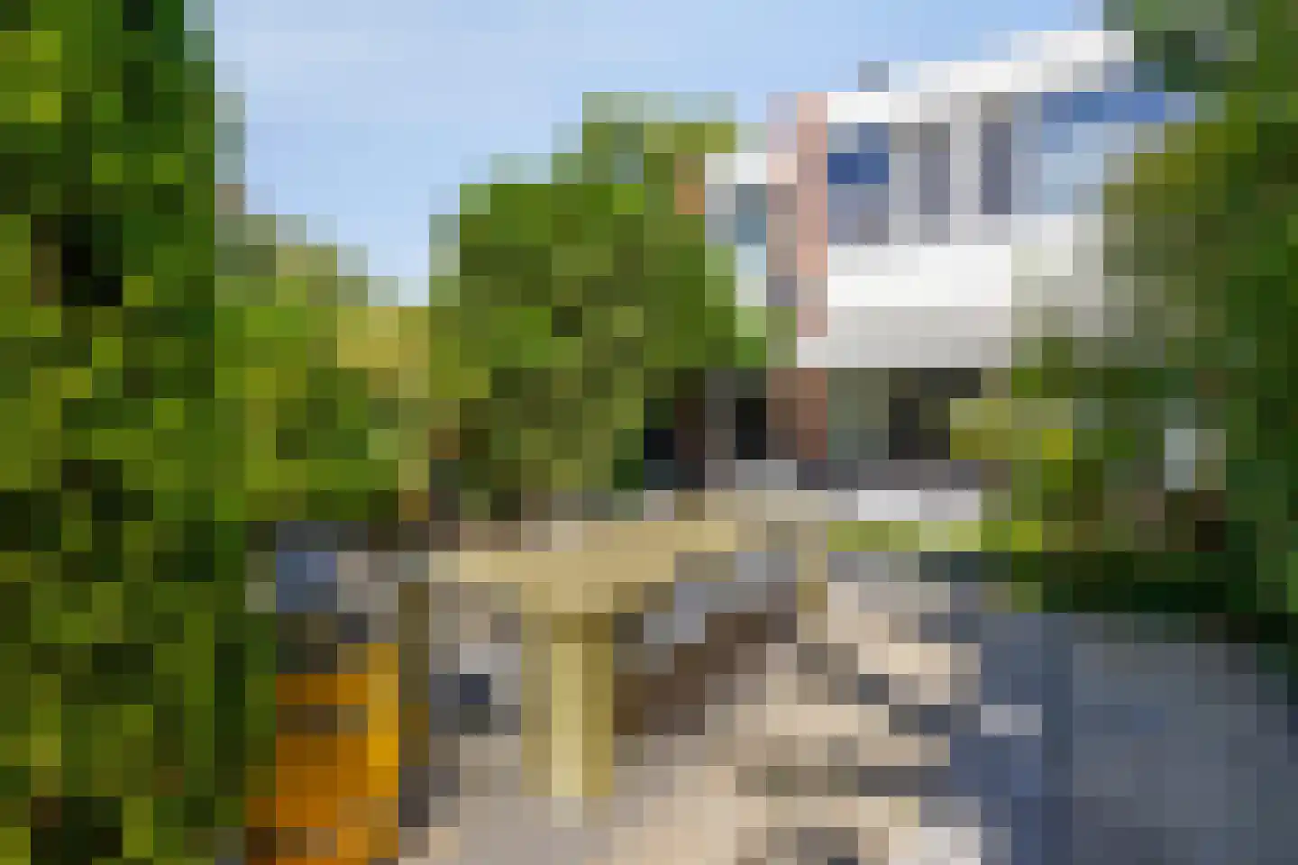 Kogeldistel 41 Rotterdam thumbnail 23
