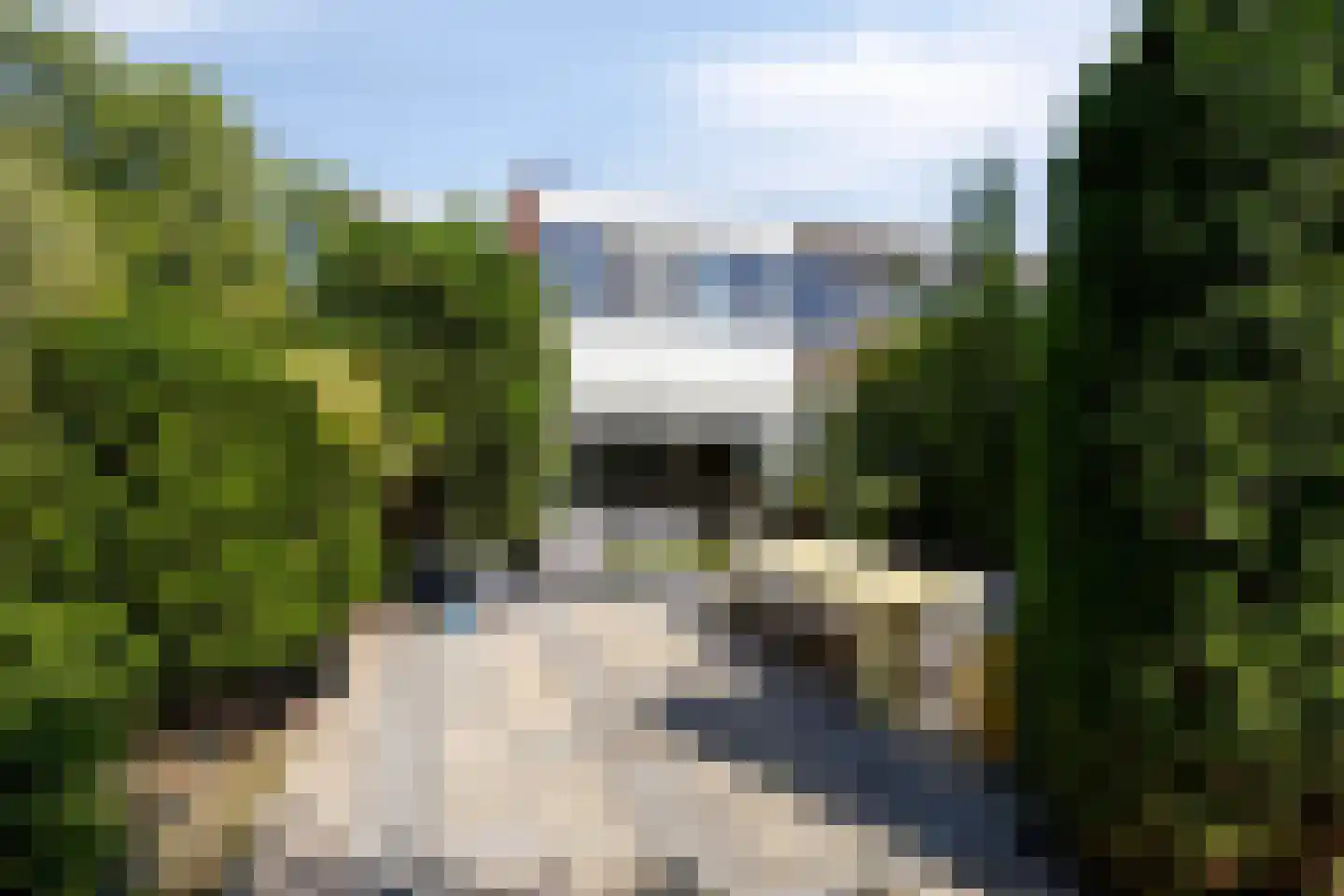 Kogeldistel 41 Rotterdam thumbnail 24