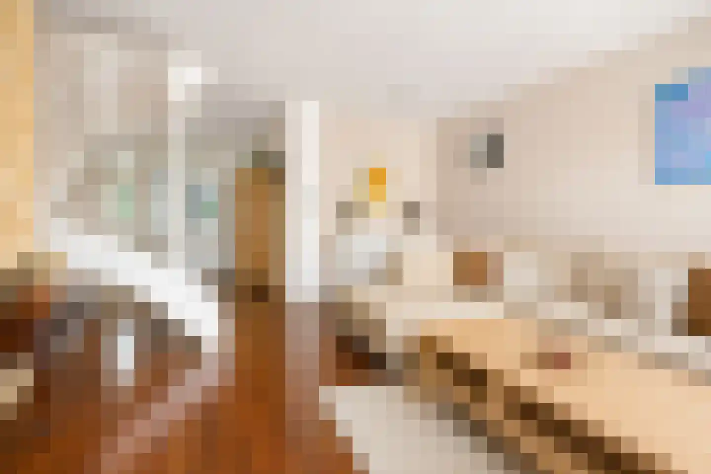 Kogeldistel 41 Rotterdam thumbnail 6