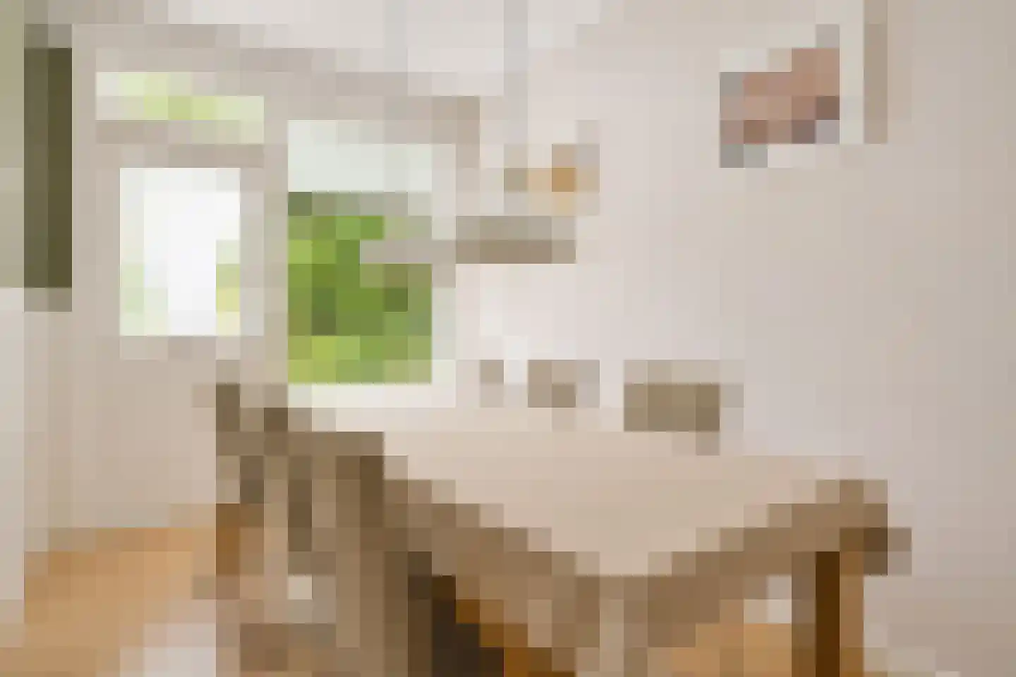 Kogeldistel 41 Rotterdam thumbnail 9
