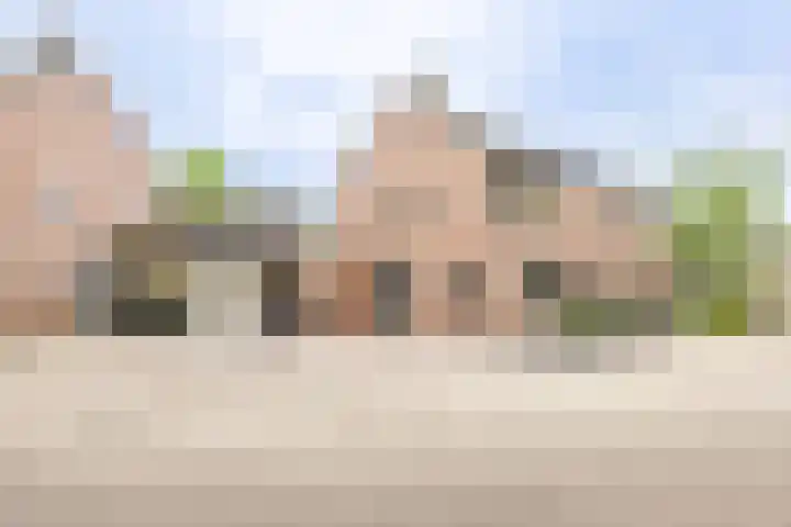 Kogeldistel 8 in Venray