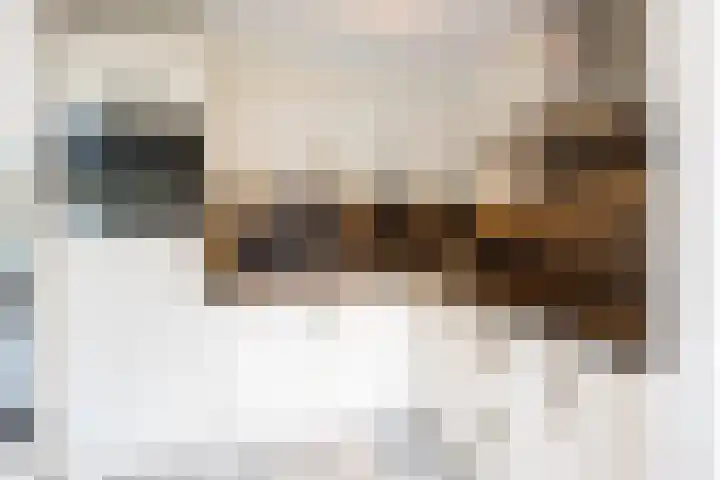 Kogeldistel 8 Venray thumbnail 13